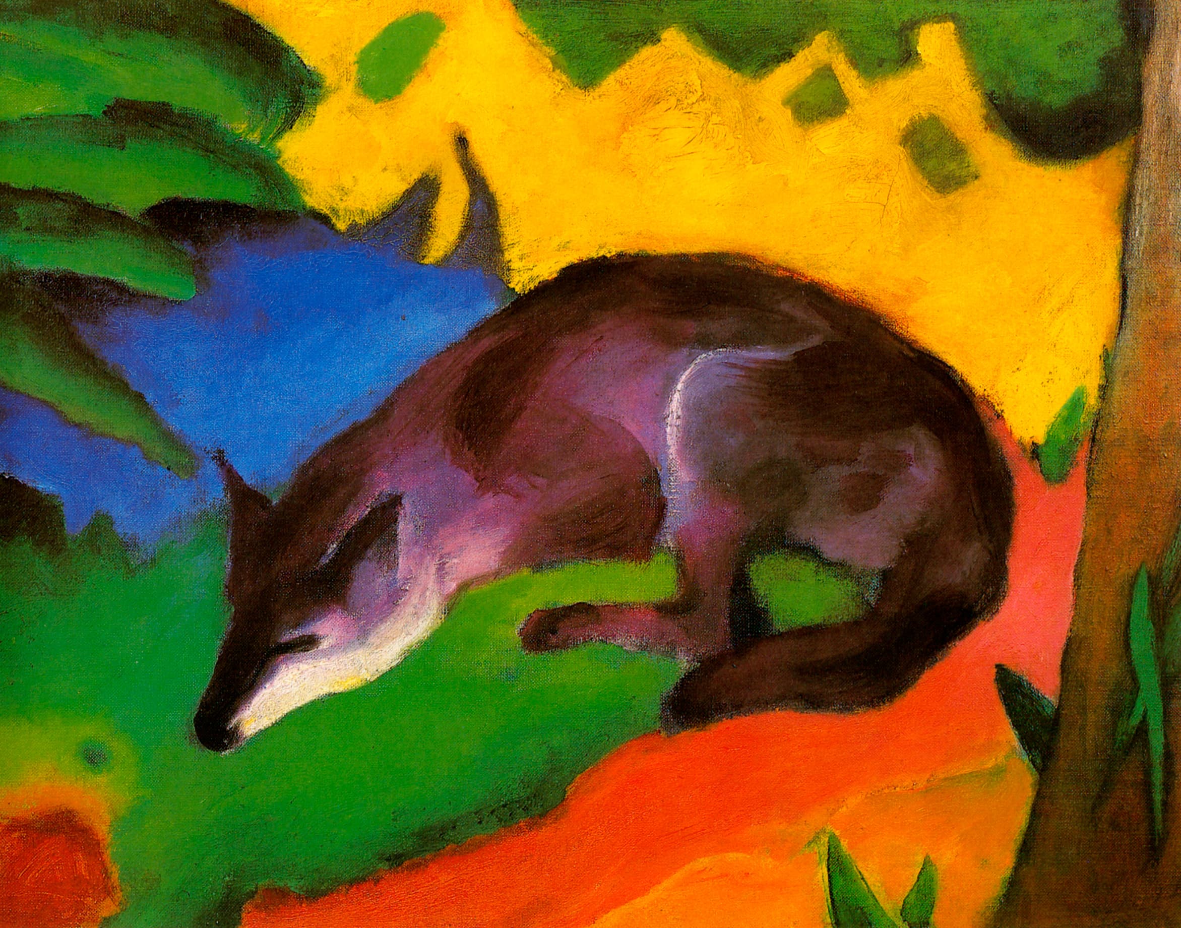 Fox