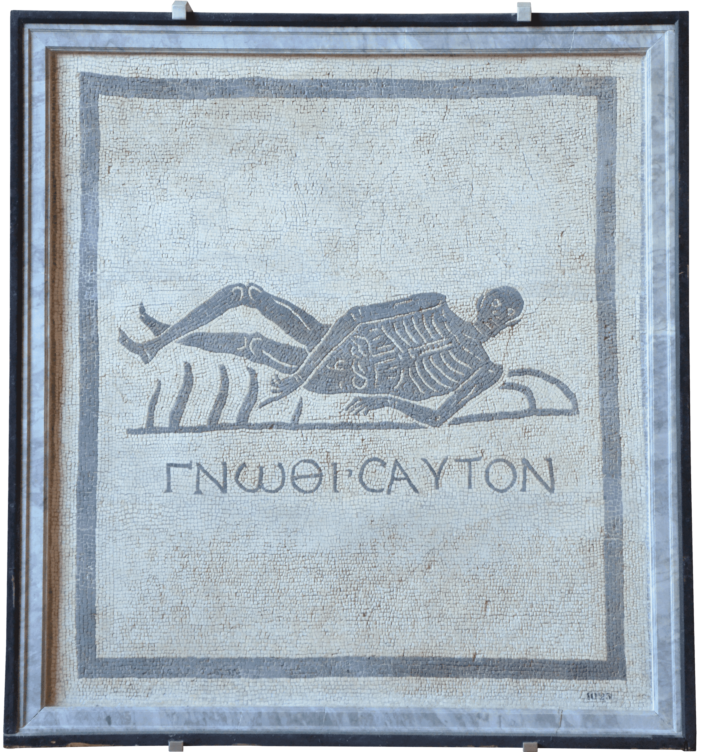 "Know Thyself" Skeleton Mosaic