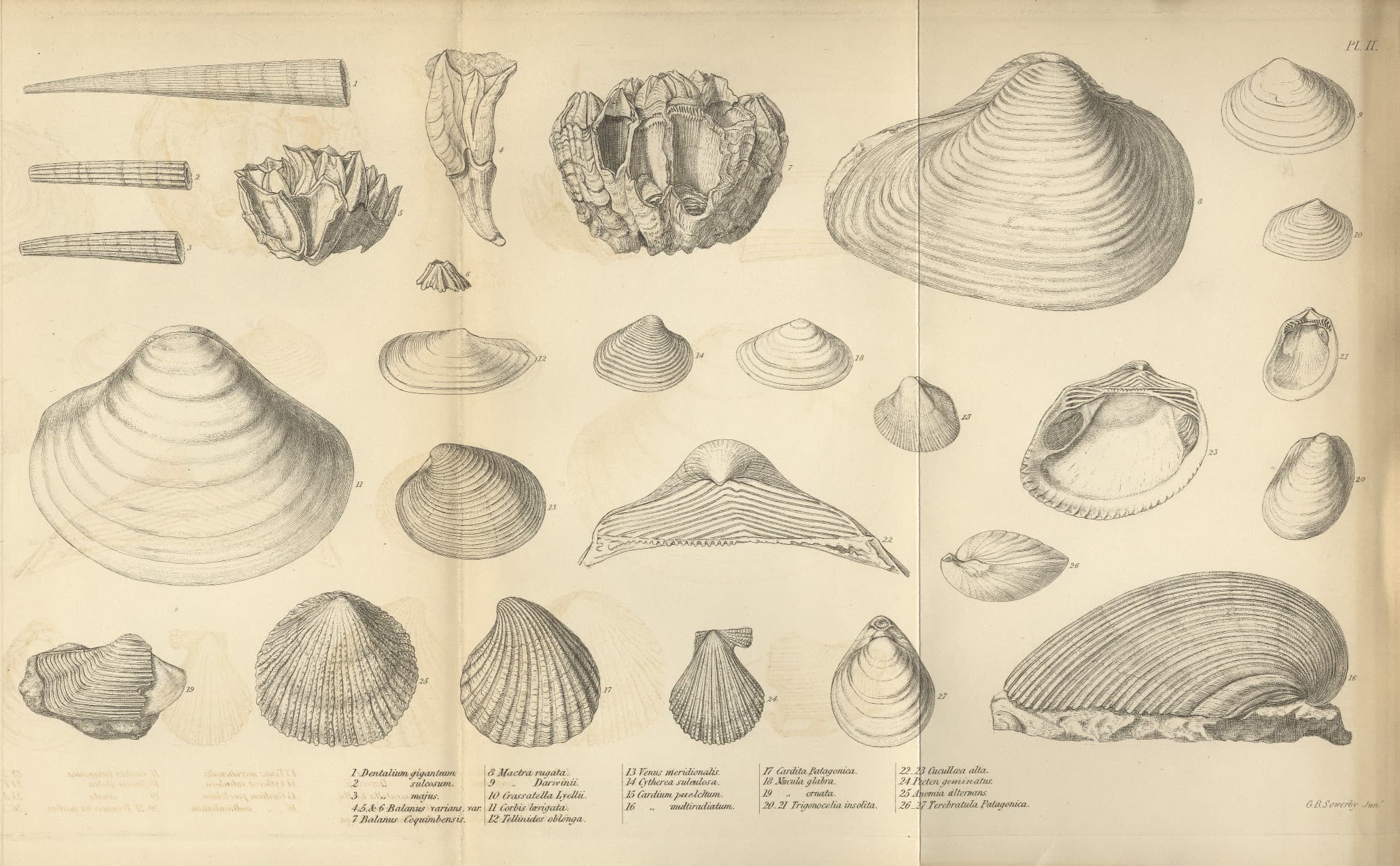Geological observations on South America — Plate 2