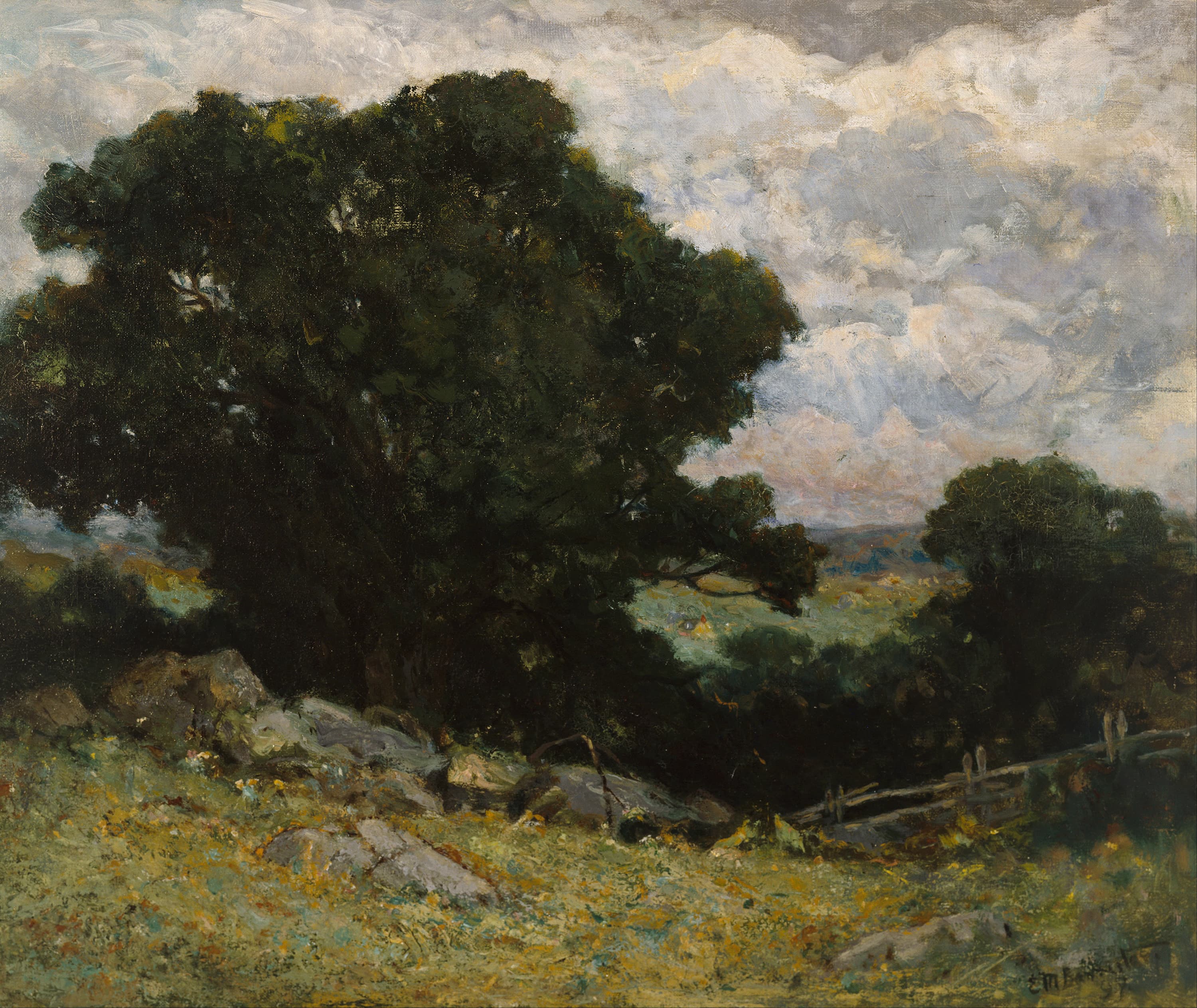 Landscape