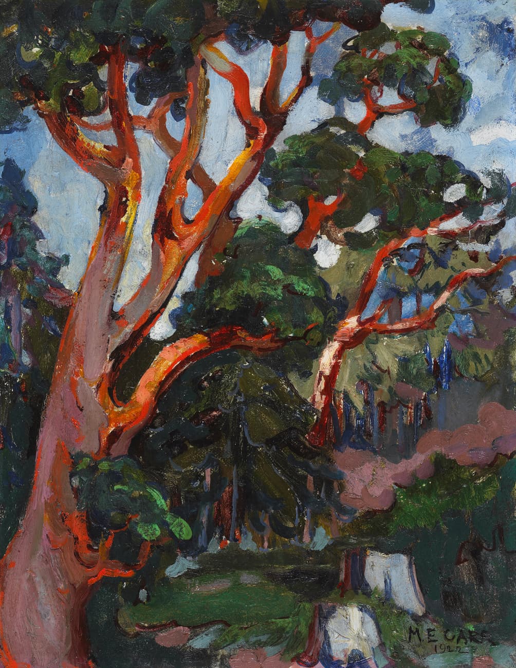 Arbutus Tree