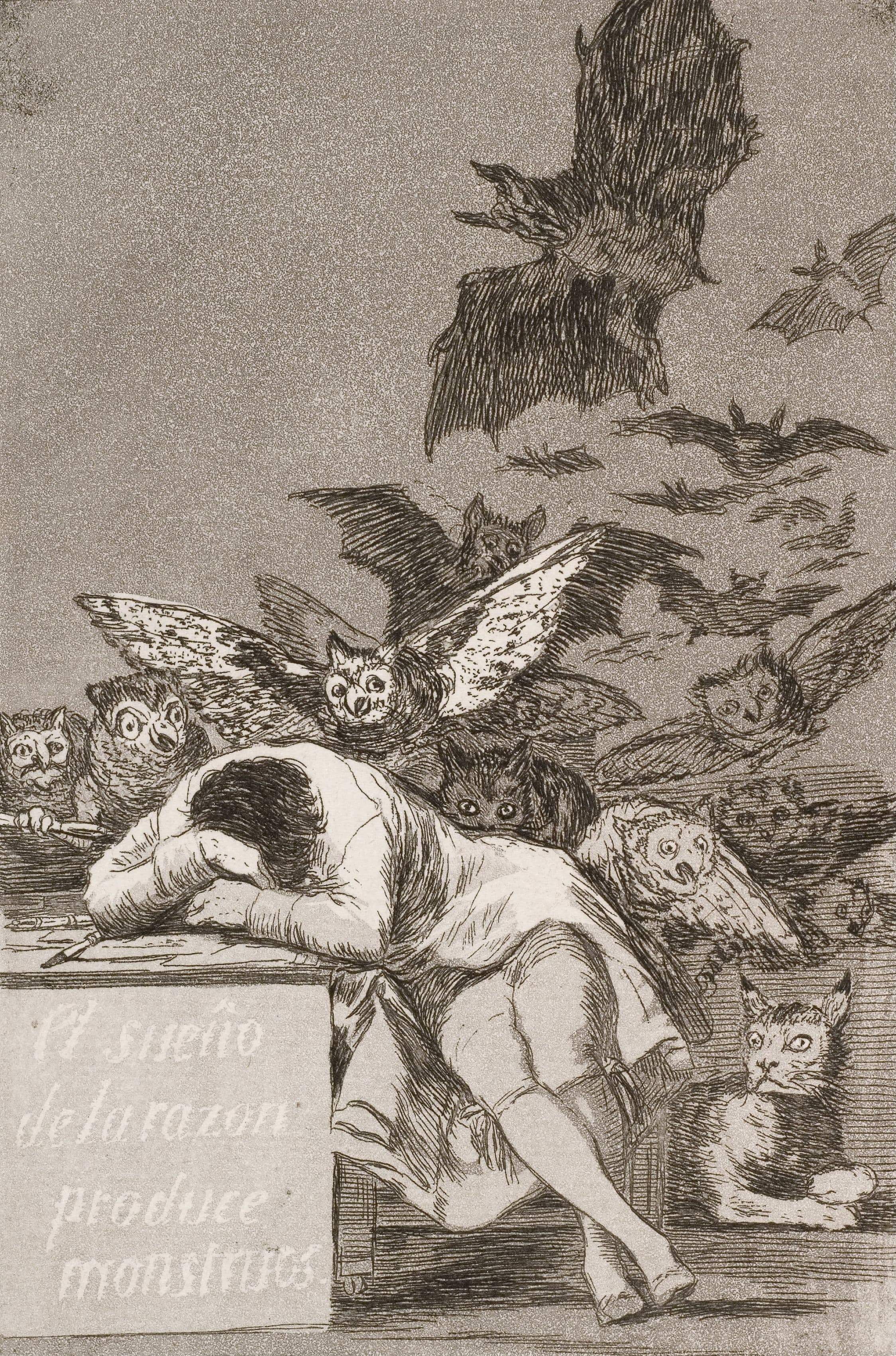 The Sleep Of Reason Produces Monsters