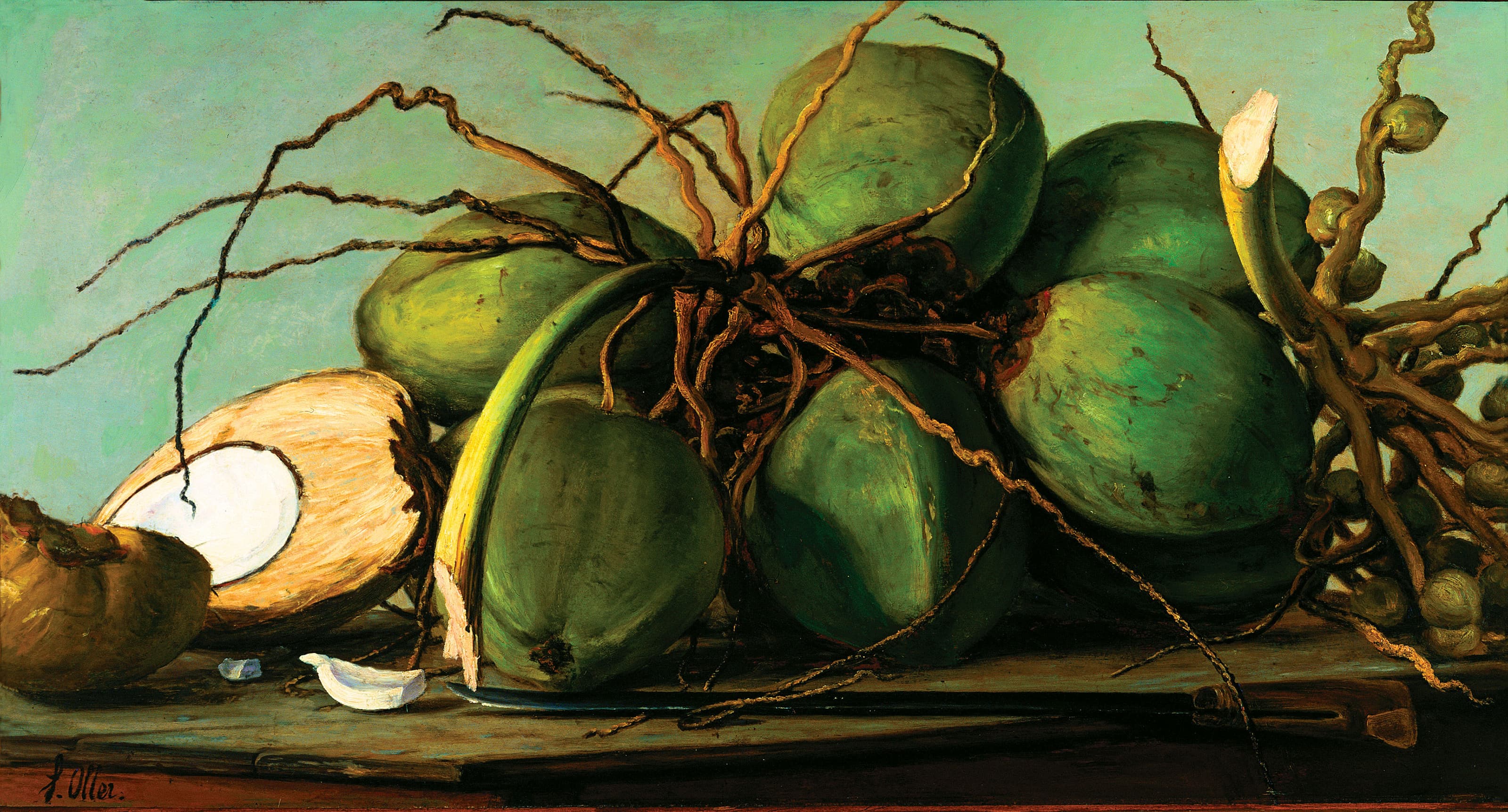 Still Life with Coconuts
