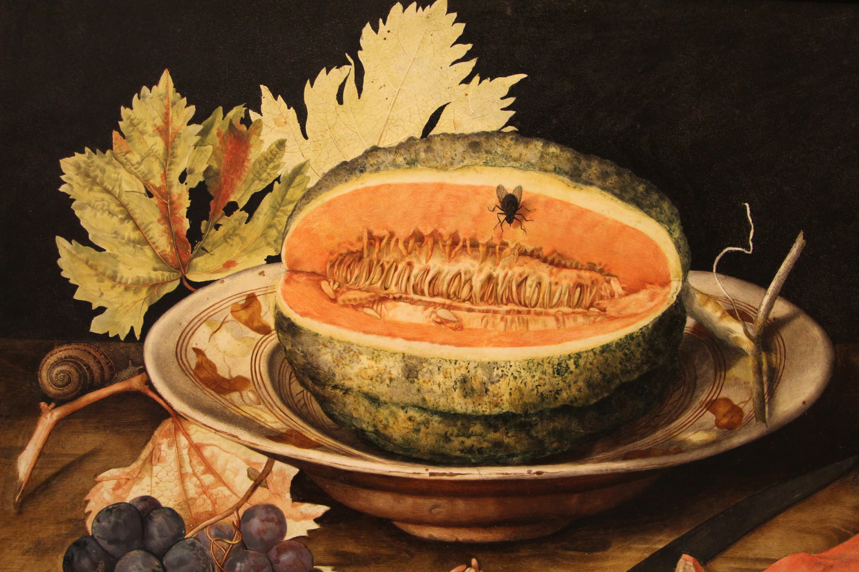 Melon on a Plate with Grapes and a Snail