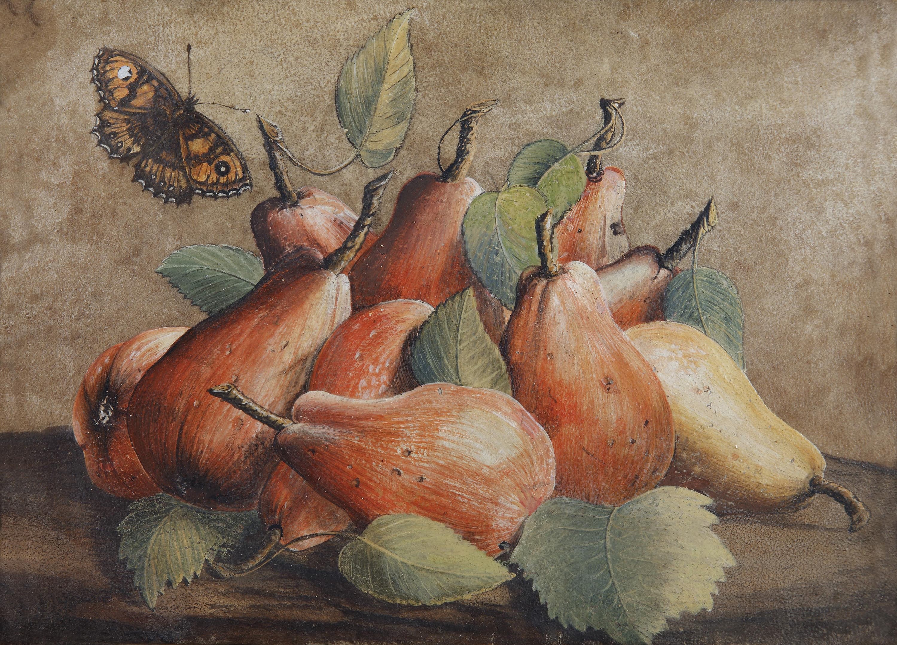 Still Life with Pears and a Butterfly