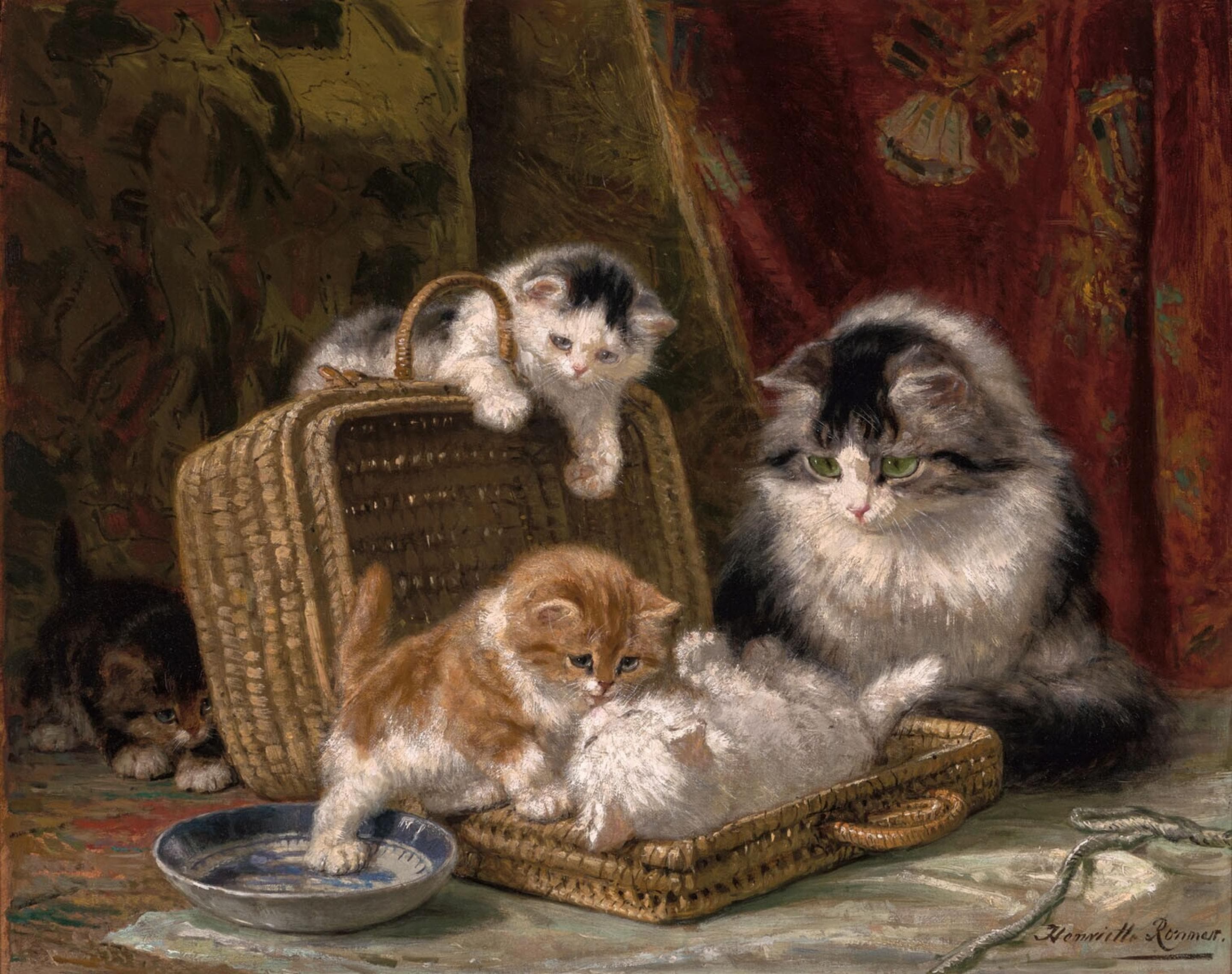 Kittens playing in a baskets