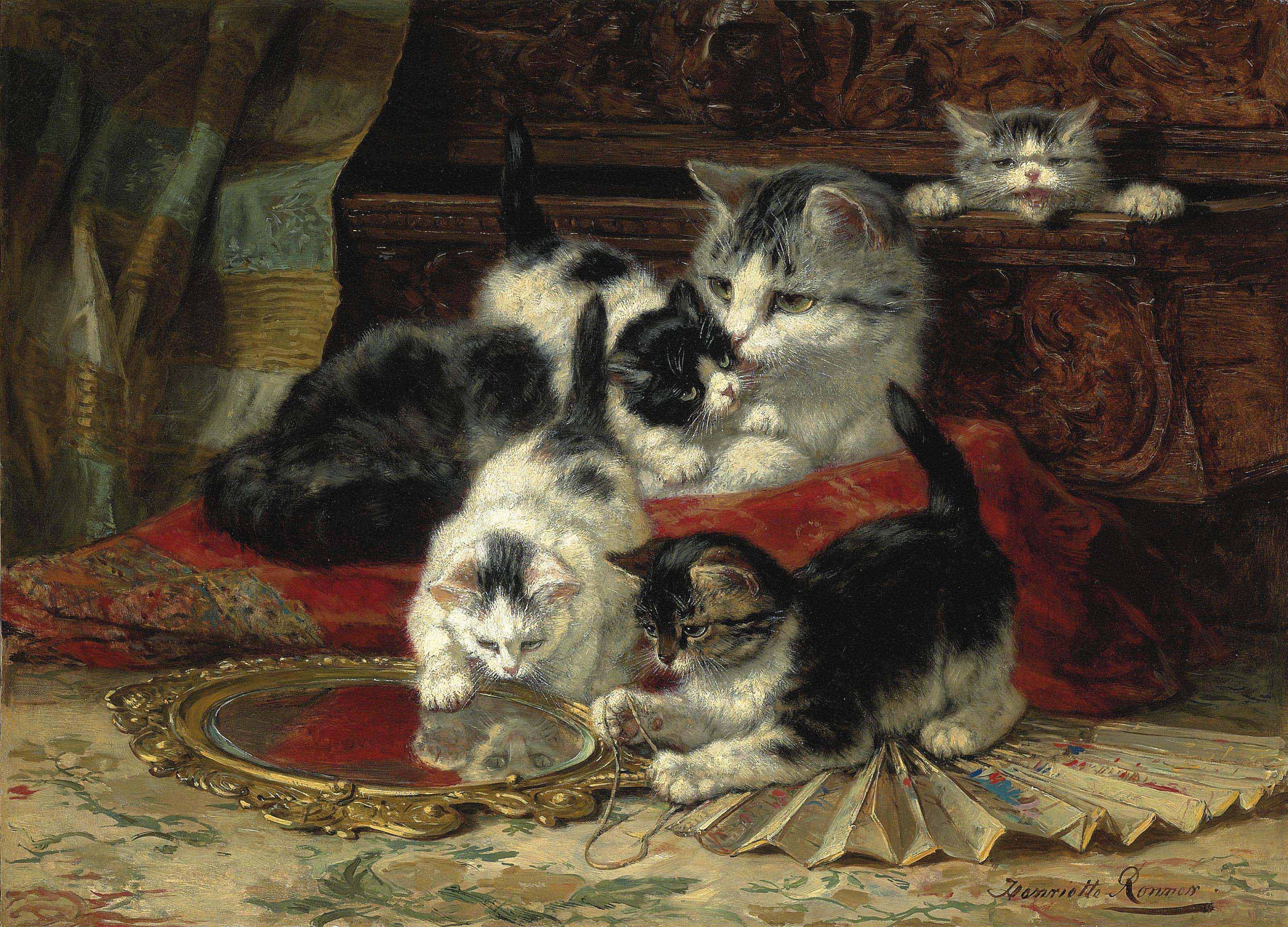 Mother and kittens playing with a hand mirror