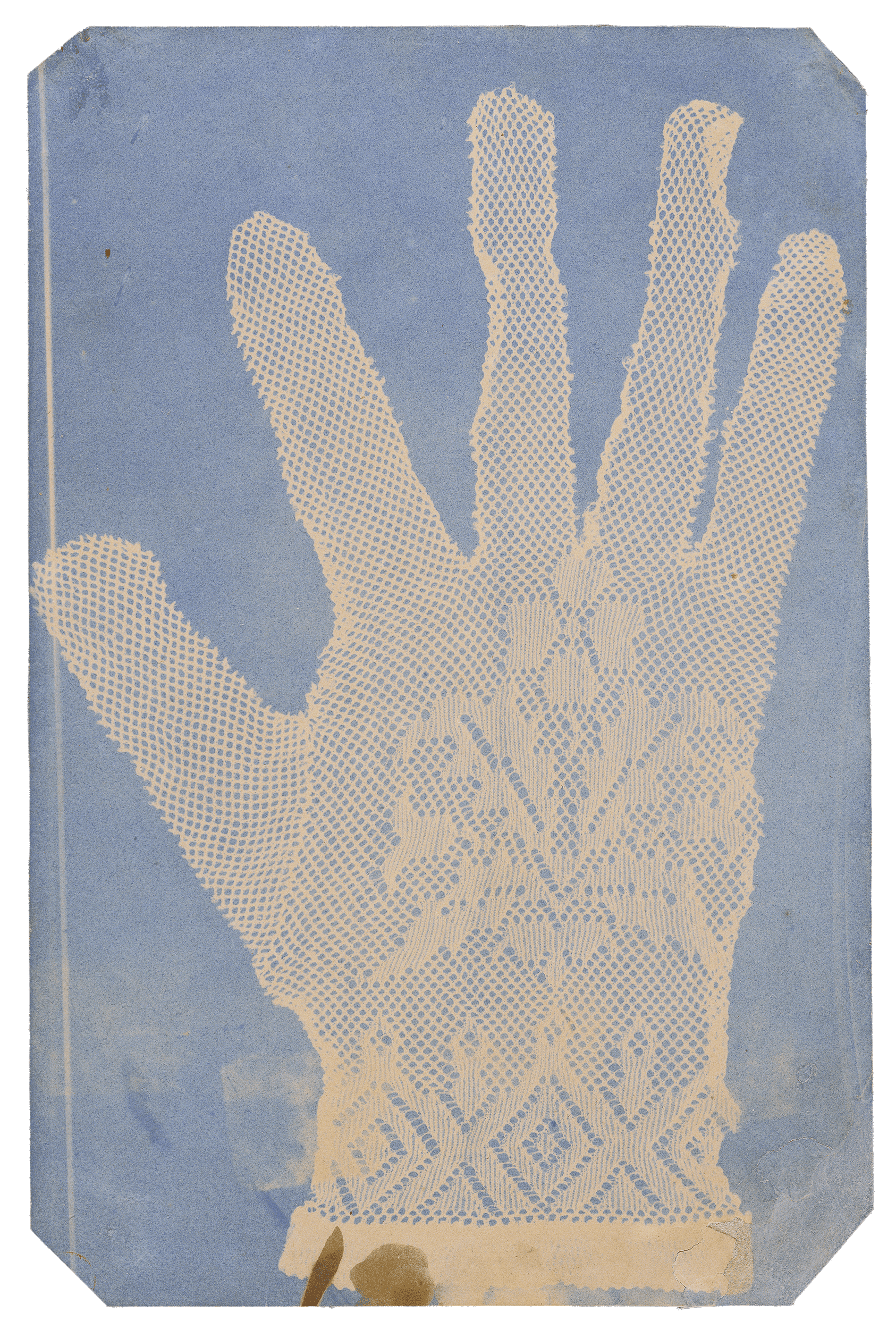 Lace Glove