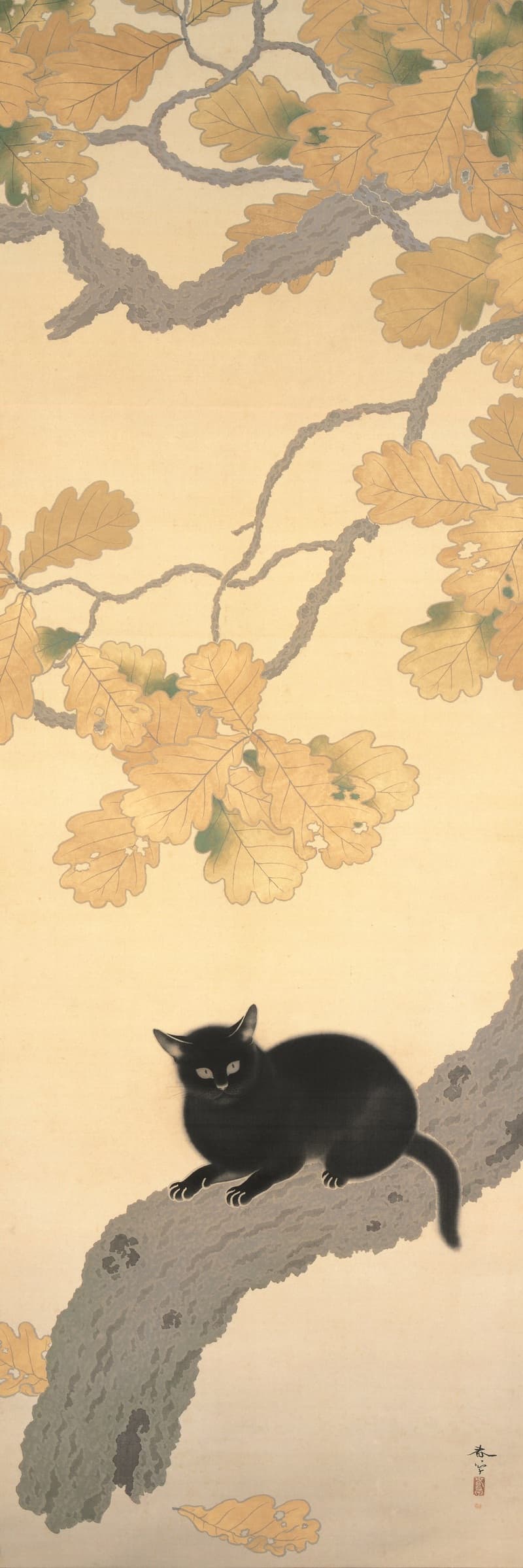 Black Cat, 黒き猫
