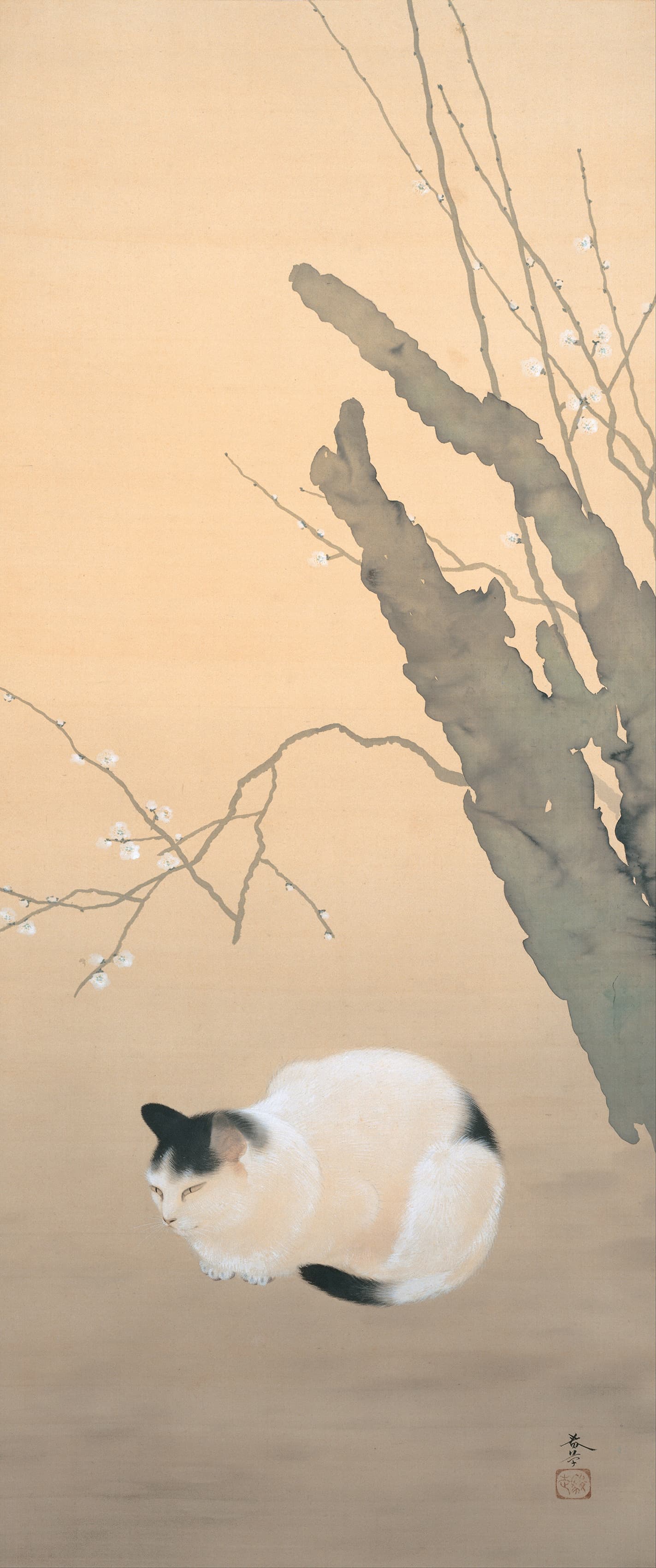 Cat and Plum Blossoms, 猫梅