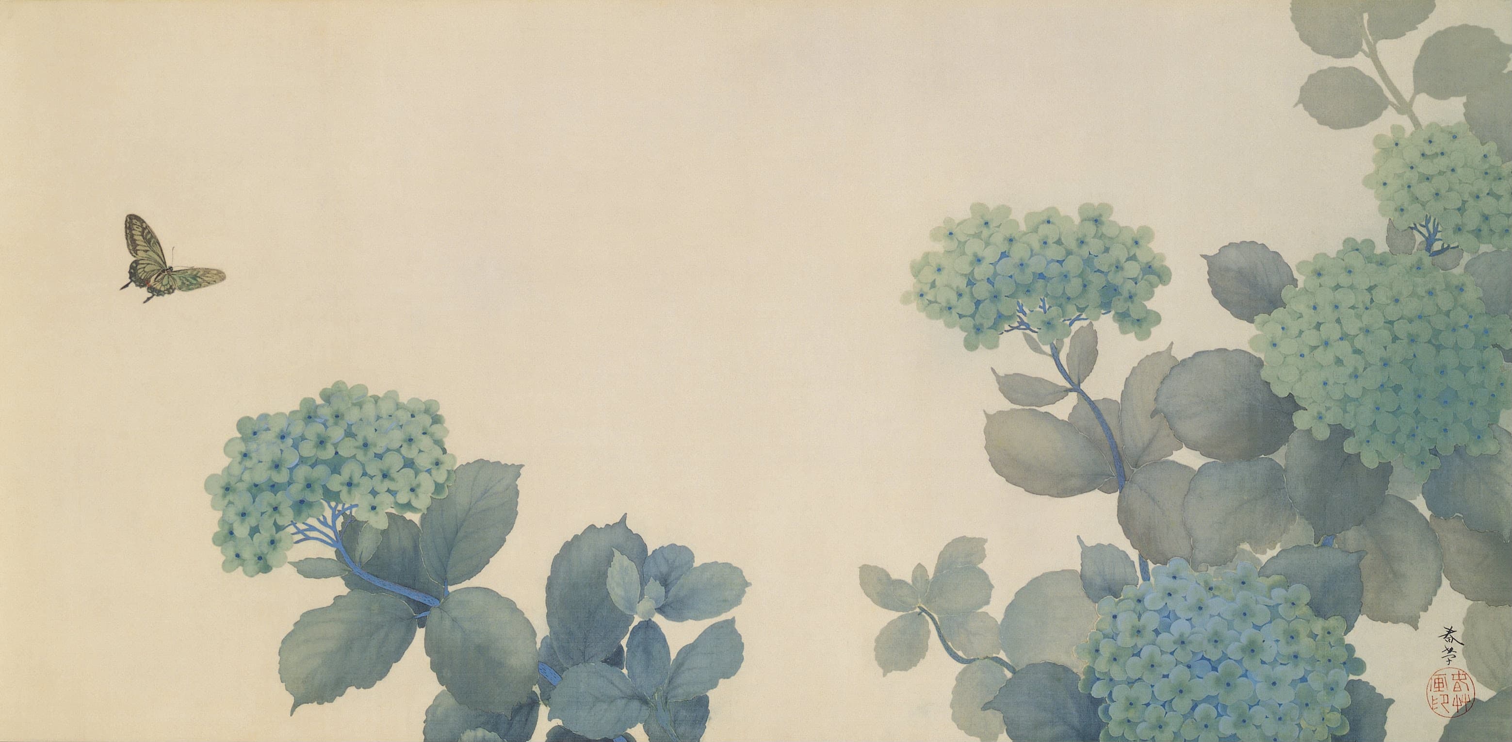Hydrangeas, 紫陽花