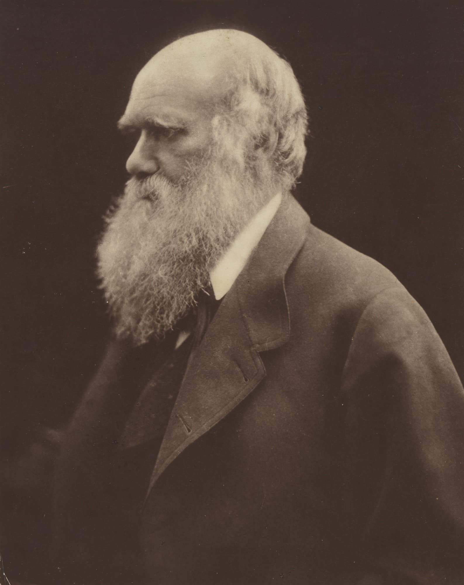 Portrait of Charles Darwin