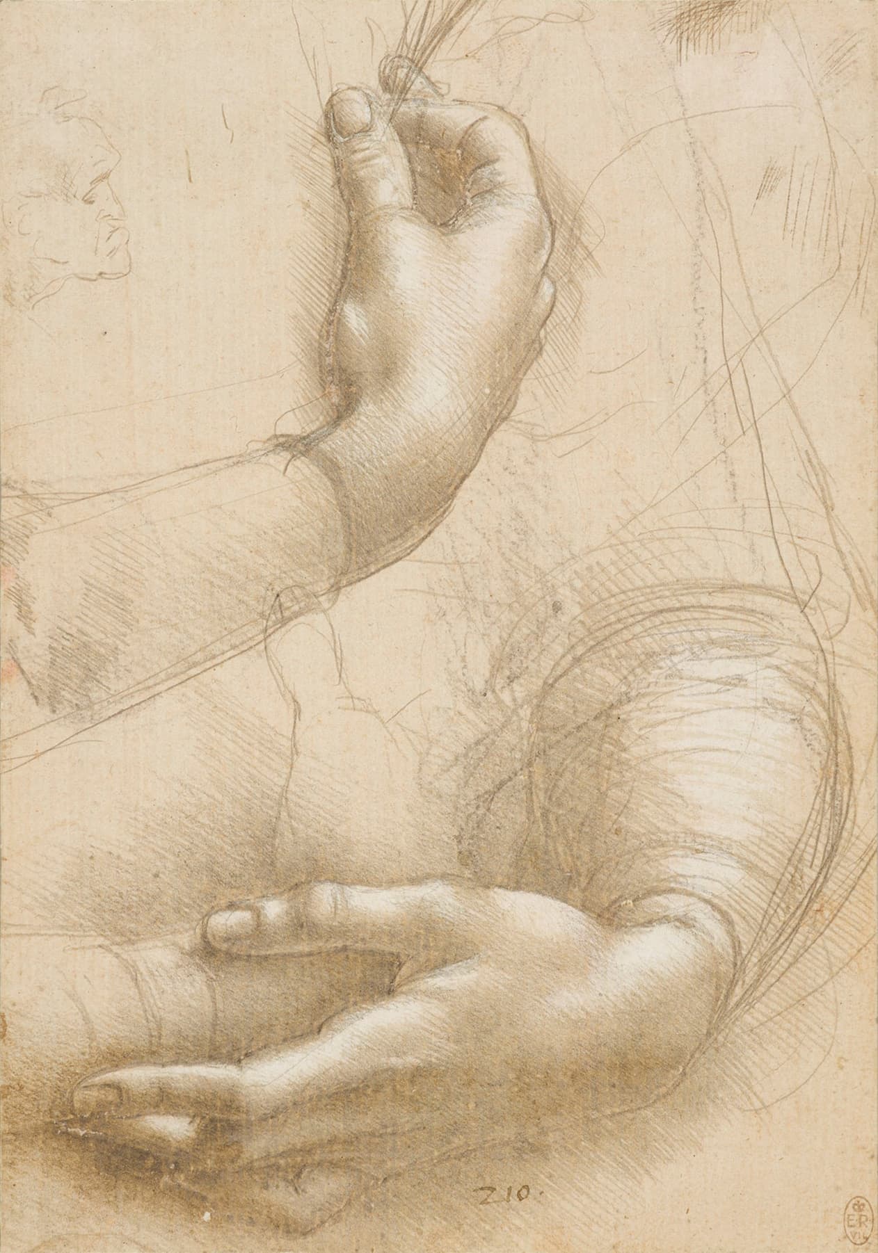Study of a Woman's Hands