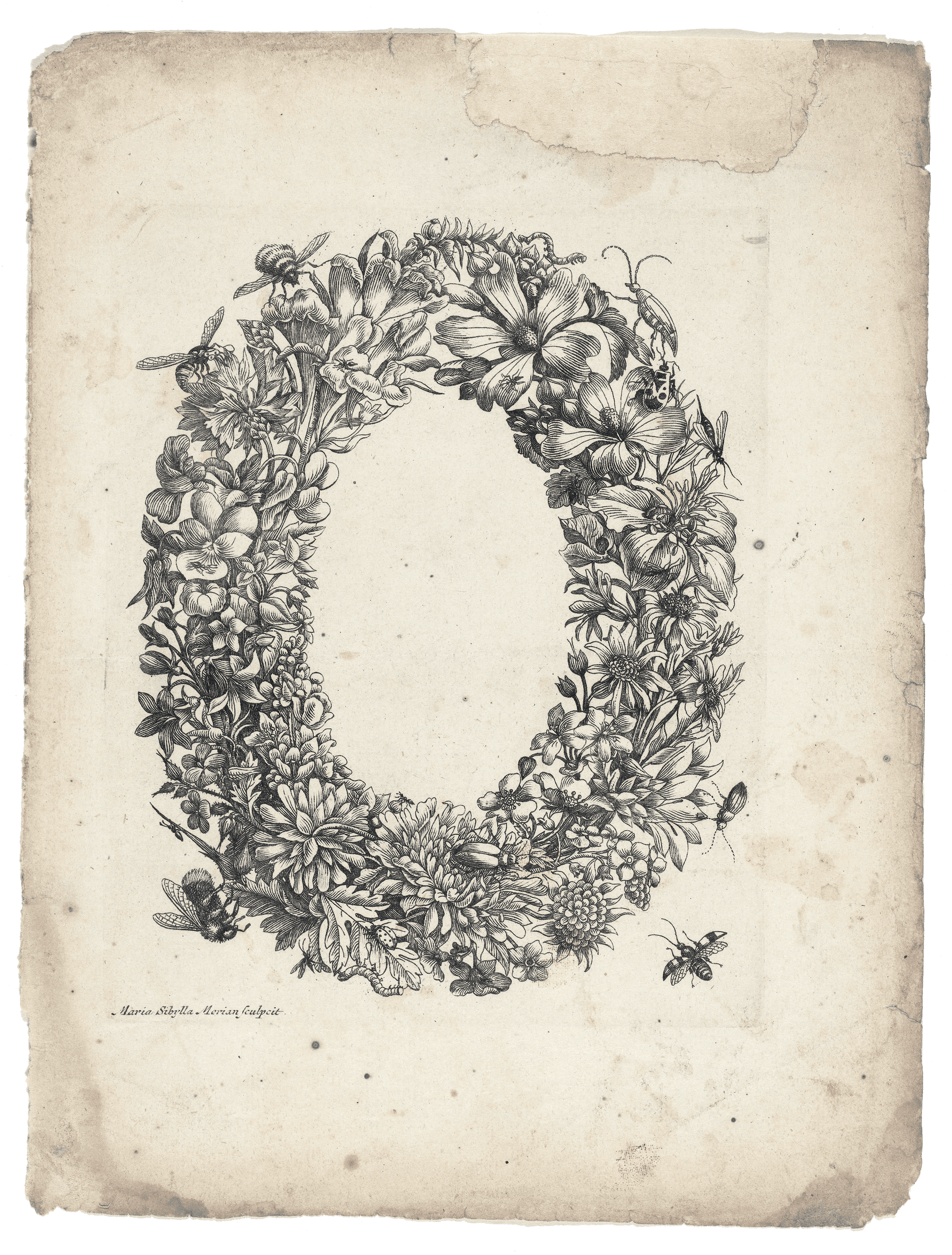 Floral Wreath with Insects