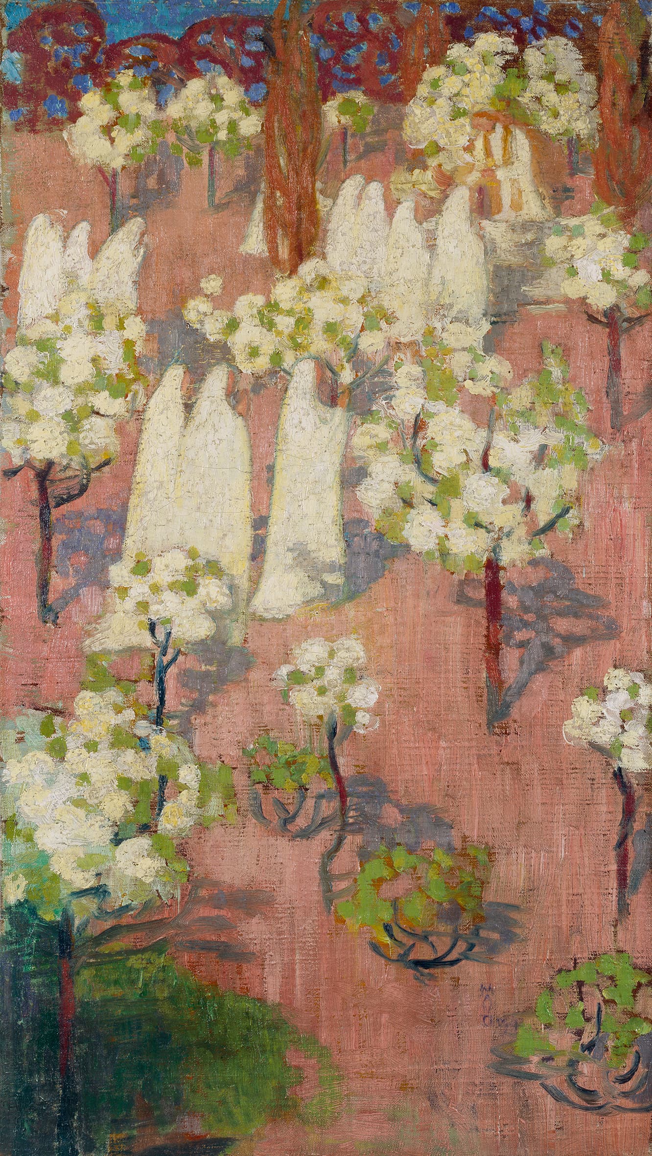 Virginal printemps (pommiers en fleurs)