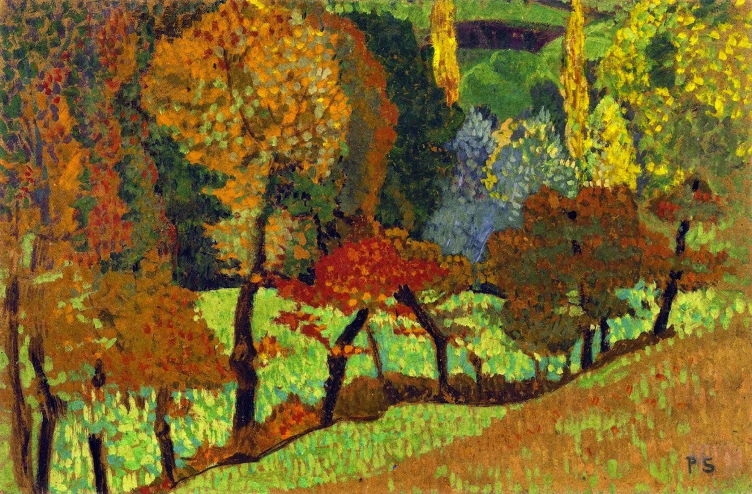 Trees along the creek