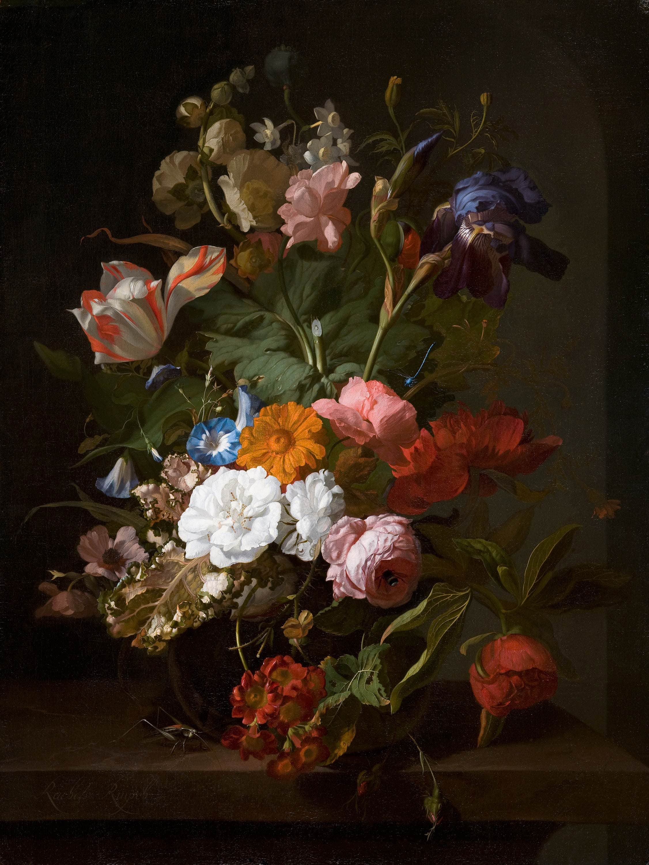 Still Life with Flowers and a Cricket