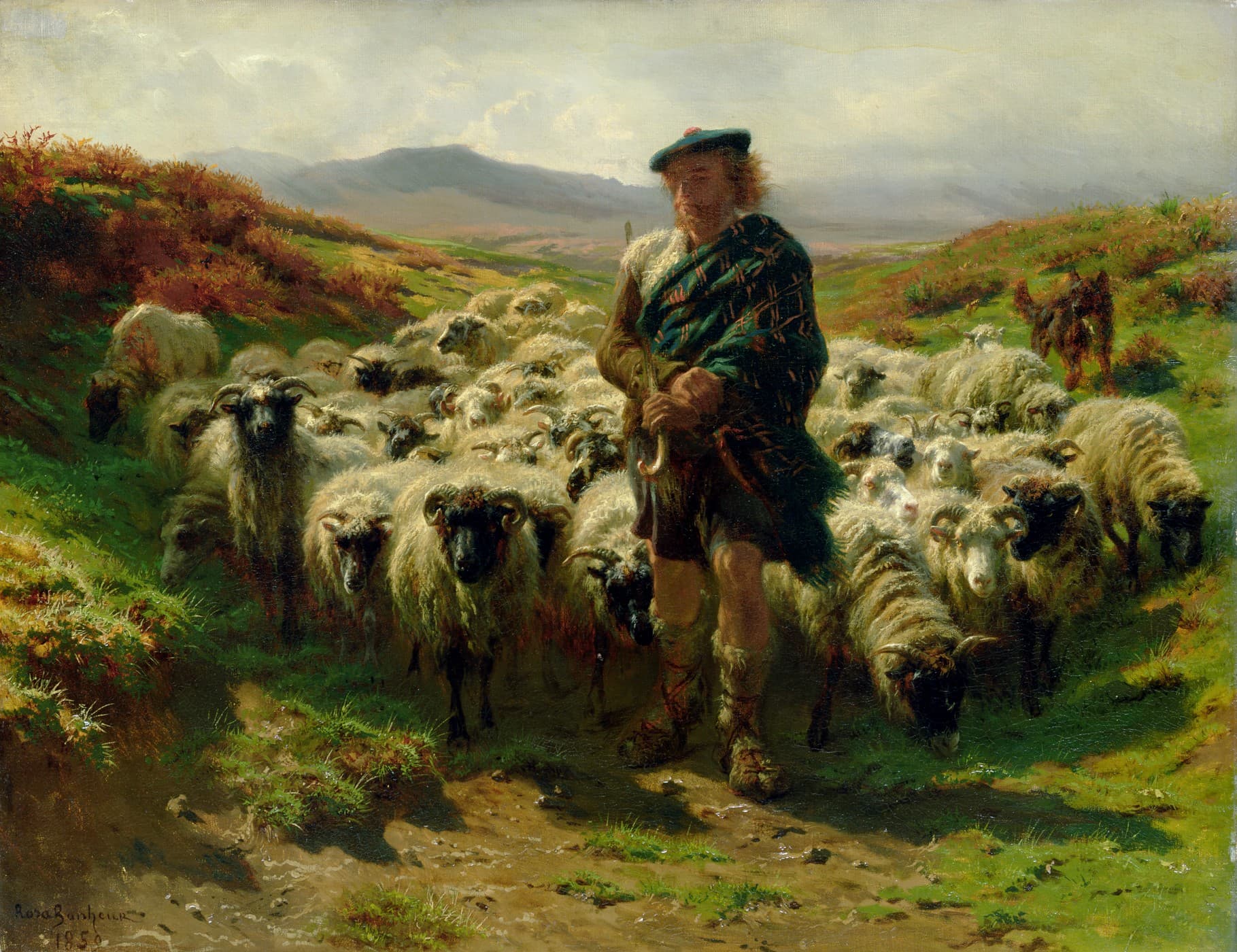 The Highland Shepherd