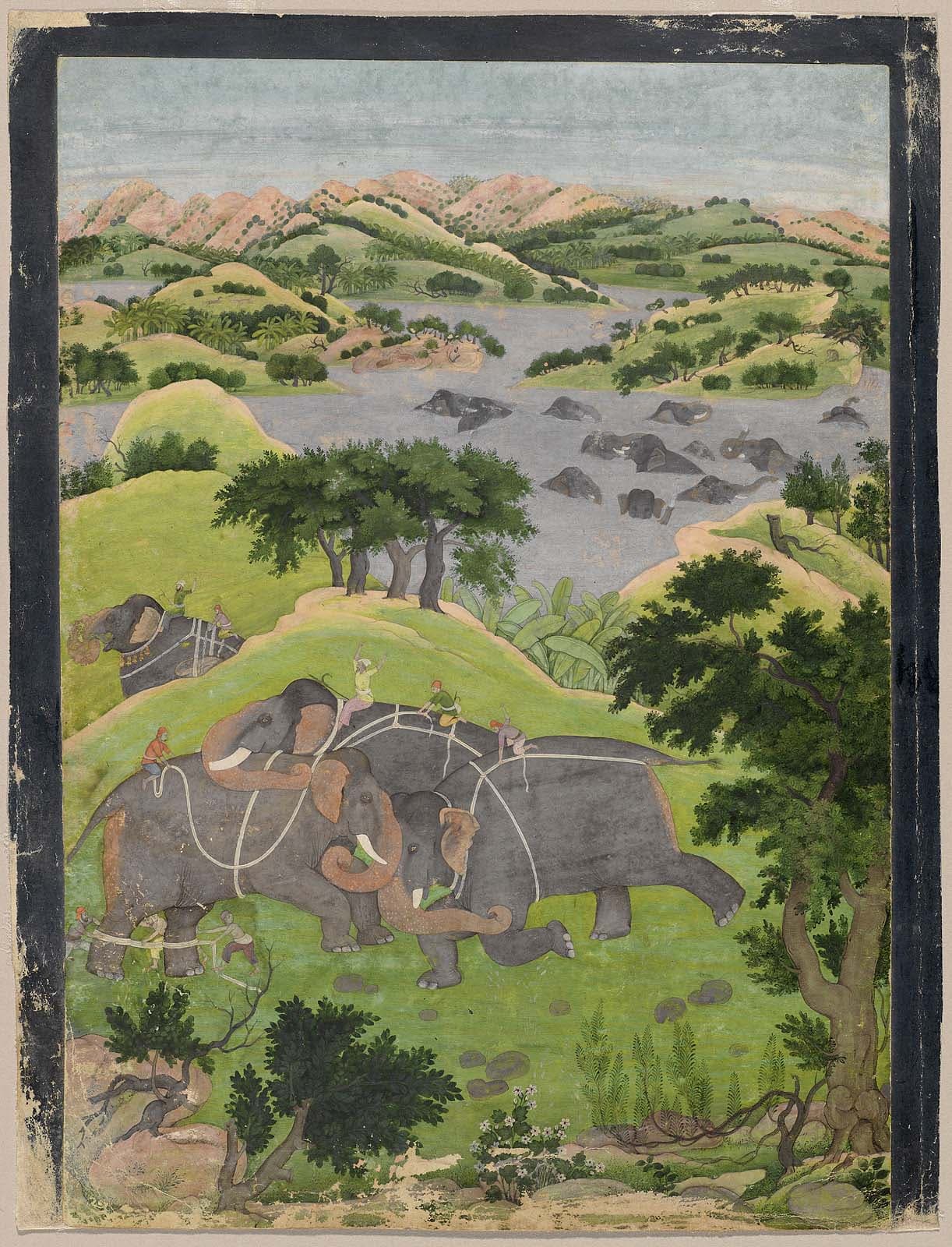 Capture of a Wild Elephant