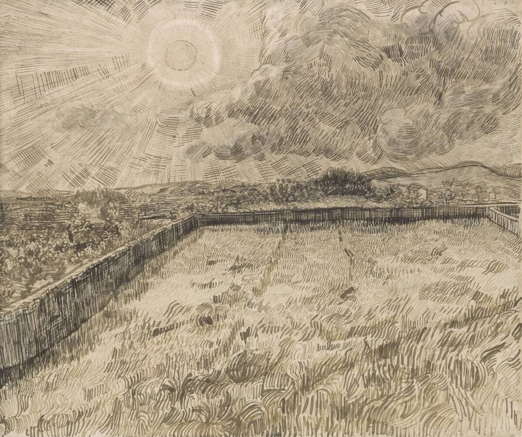 Sun over Walled Wheat Field