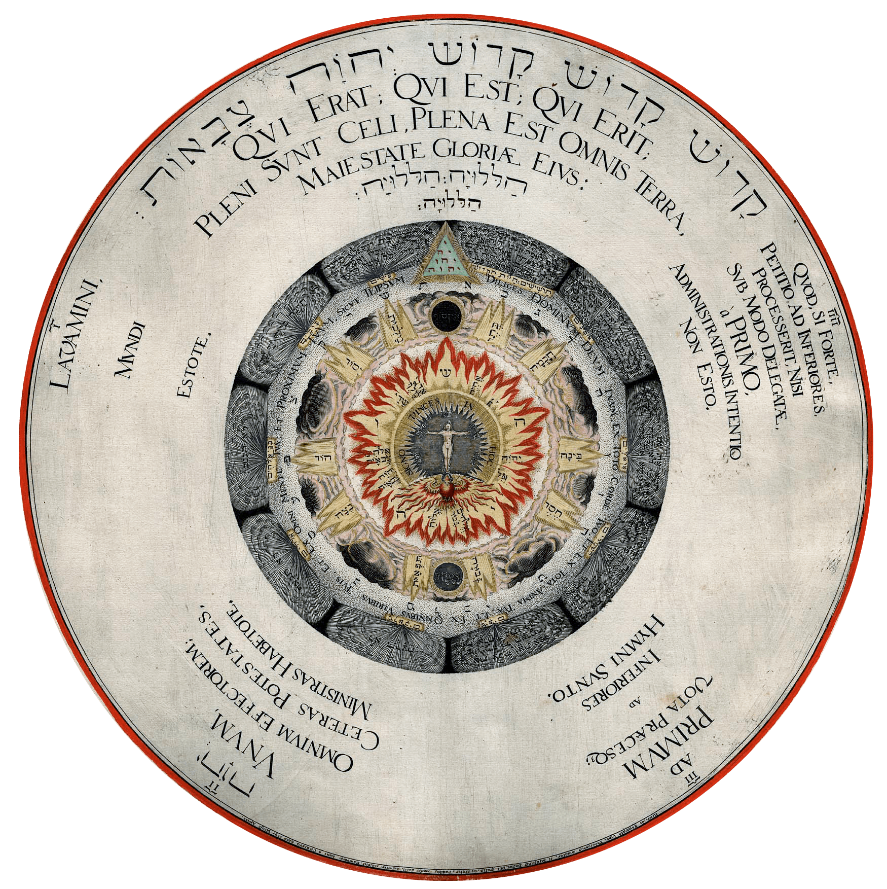 The Cosmic Rose