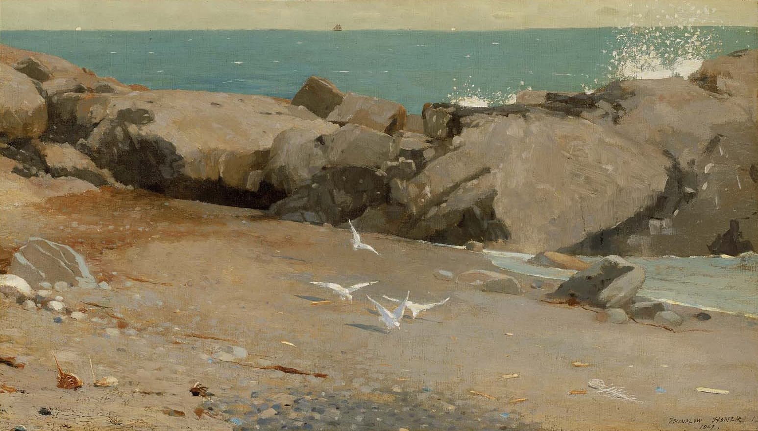 Rocky Coast and Gulls